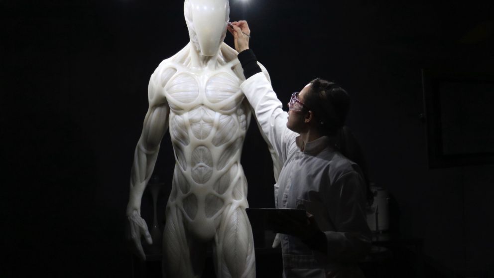 Robots casi humanos