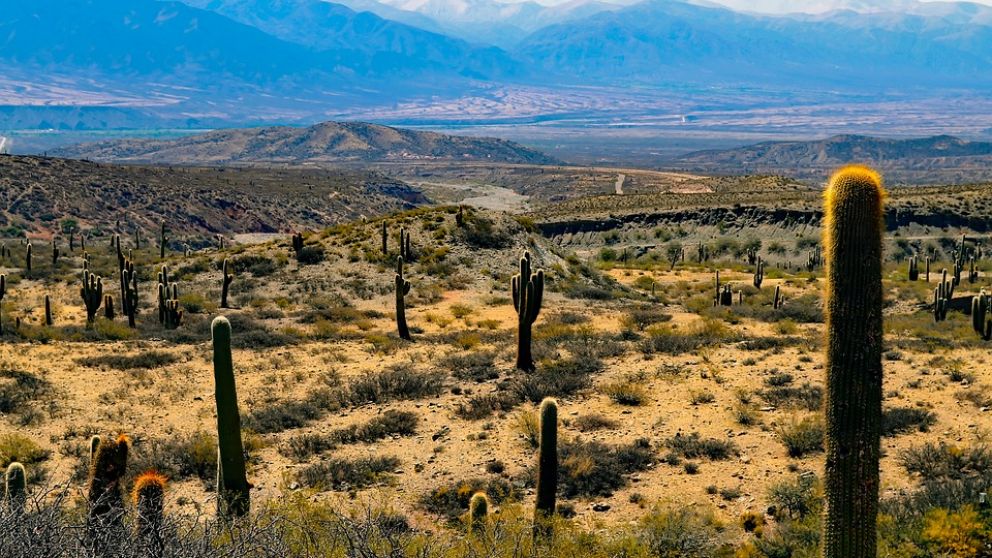 El Noroeste argentino, uno de los destinos más visitados en el fin de semana largo