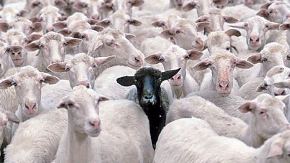 Creativos y brillantes, diferentes entre muchos