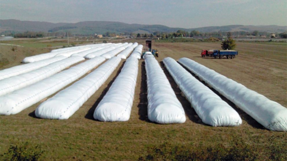 La soja espera en silobolsas el futuro económico