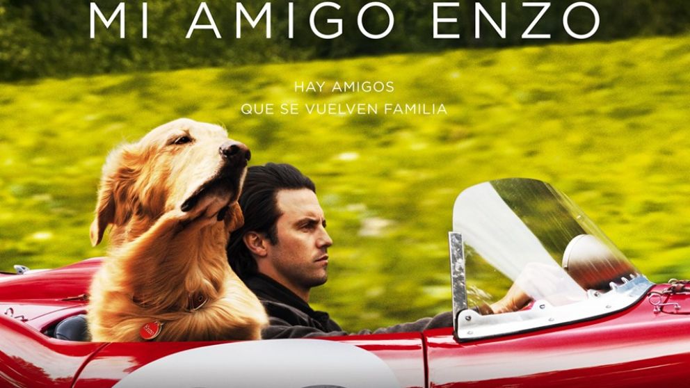 Reflexión canina sobre amor, vida y todo lo demás