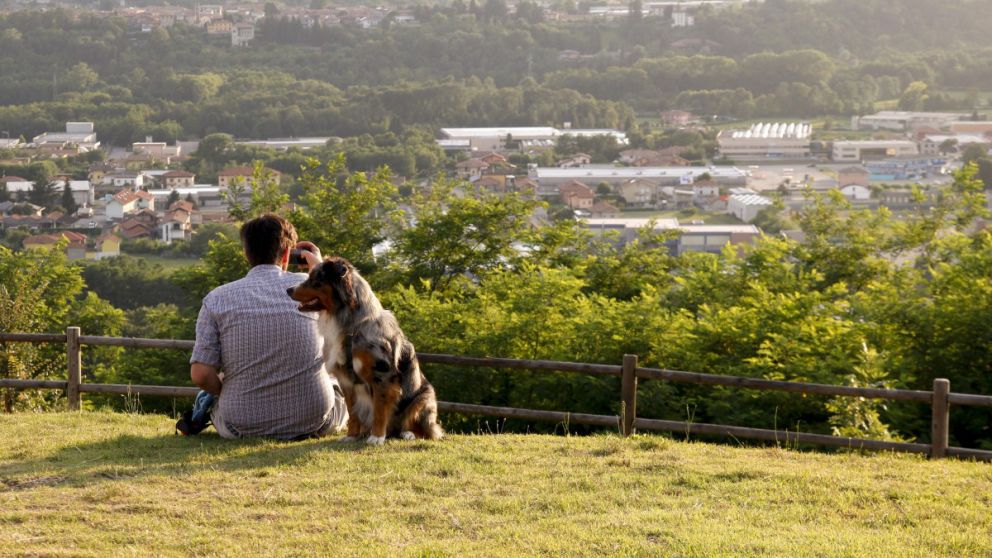 Las mascotas, pequeños pero destacables apoyos emocionales