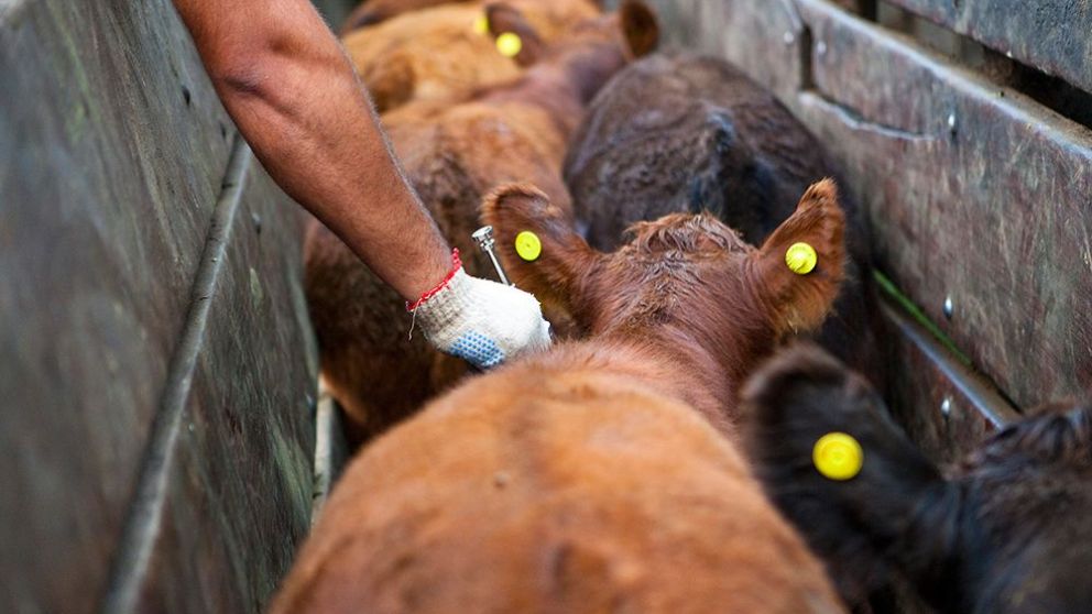 Biogénesis Bagó pretende extender sus operaciones en el sudeste asiático