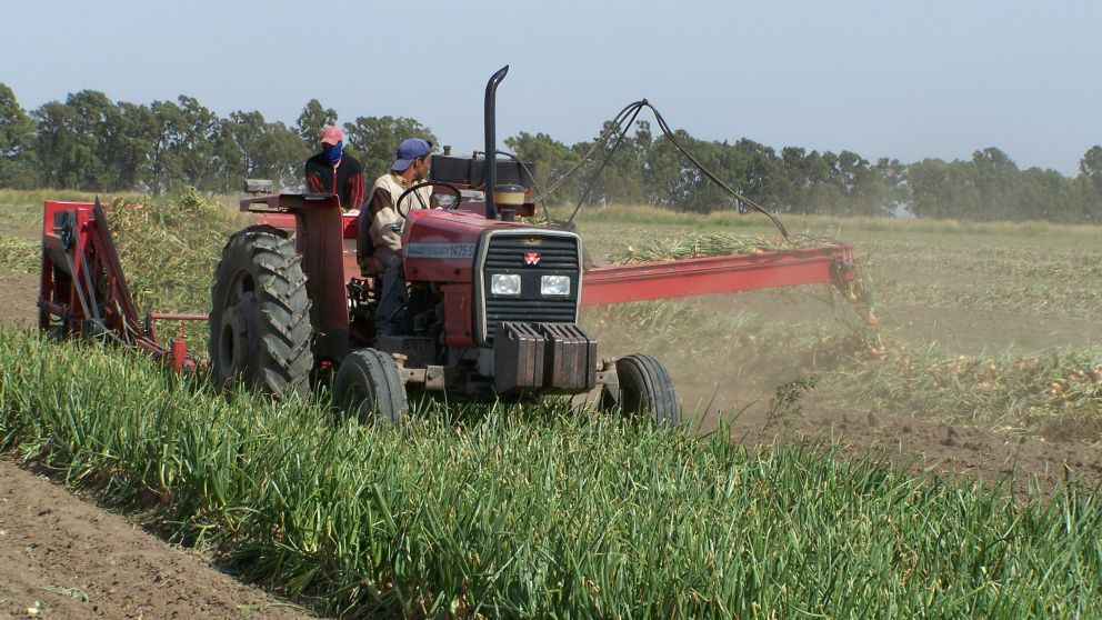 Con la fuerza del campo y el freno de las elecciones