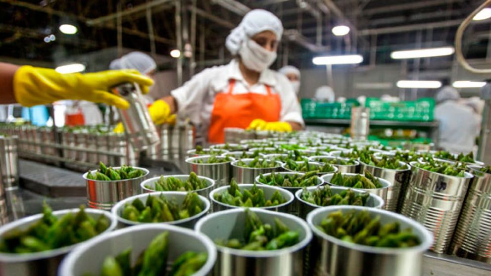 La agroindustria se erige como el motor de la recuperación económica