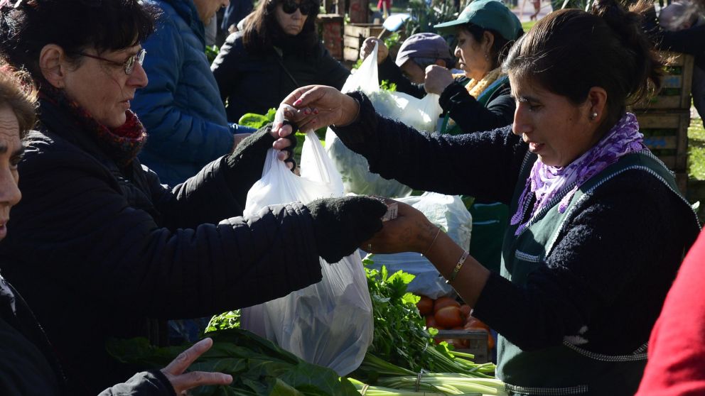 Una multitud se acercó a la feria
