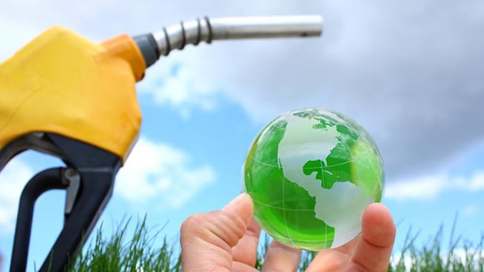 El caso de la determinación del precio del bioetanol de caña porla Secretaría de Energía