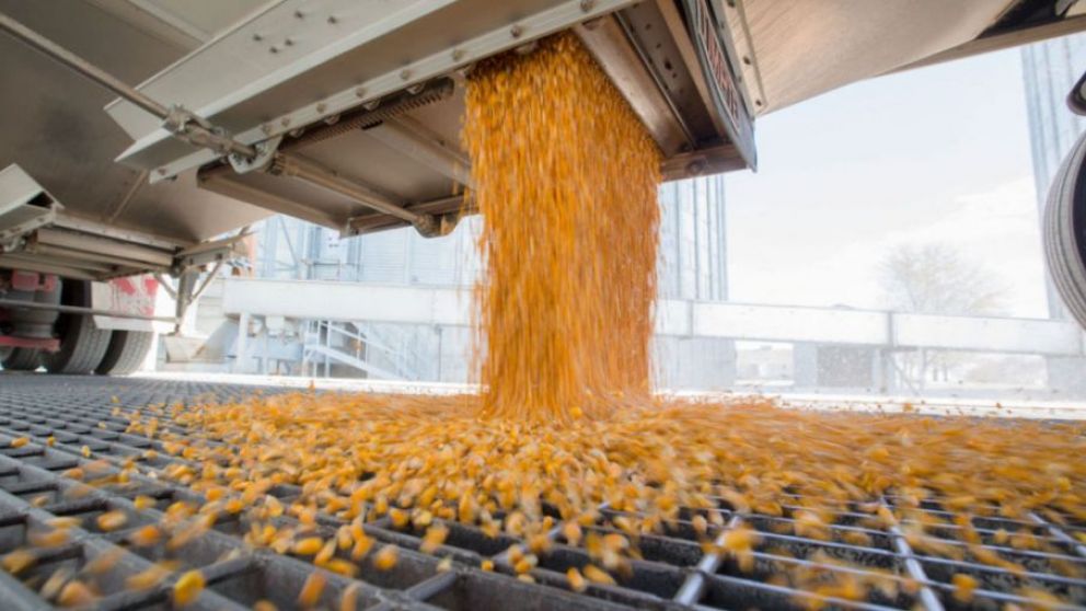 Los productores mostraron celeridad para cerrar negocios de maíz