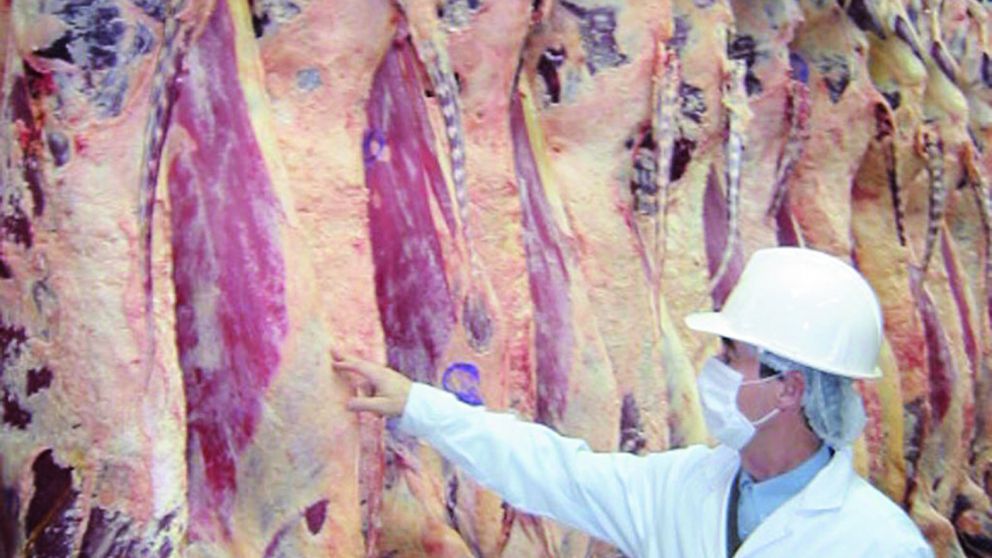 Preocupa la dependencia de las exportaciones concentradas