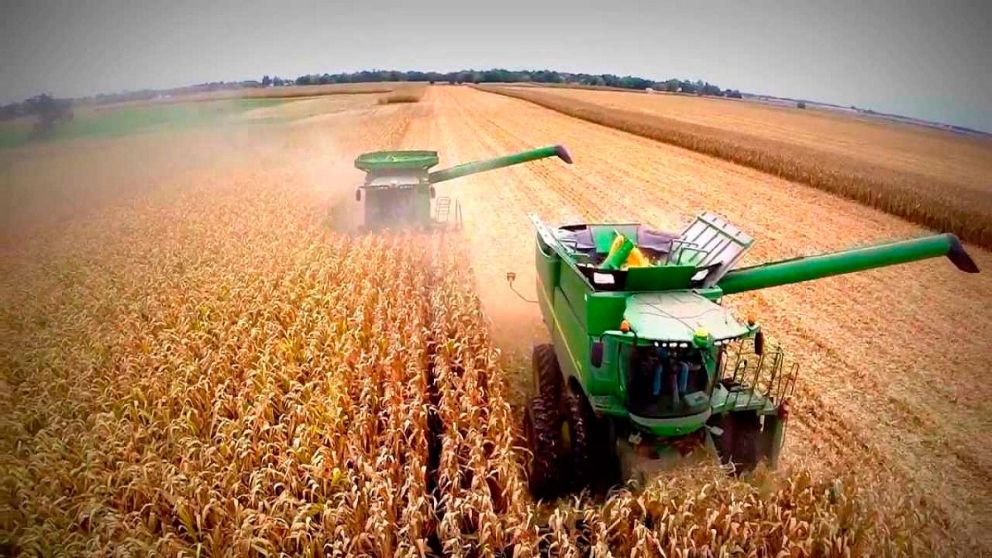 Desde 1998 la producci�n de soja hab�a sido la mayor del a�o