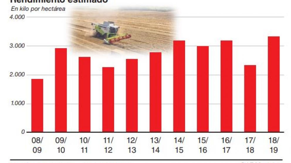 La cosecha de soja alcanzó un rinde récord en junio