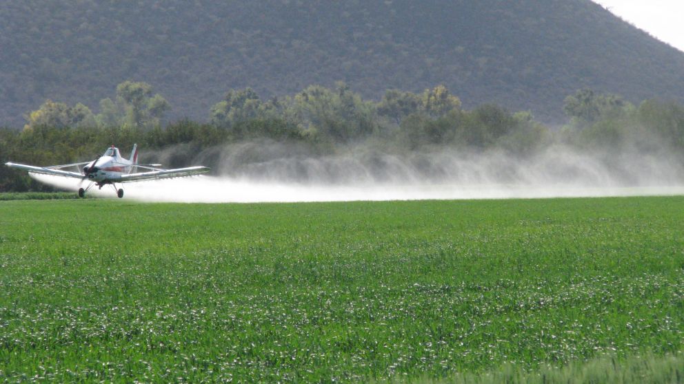 Producciones en riesgo