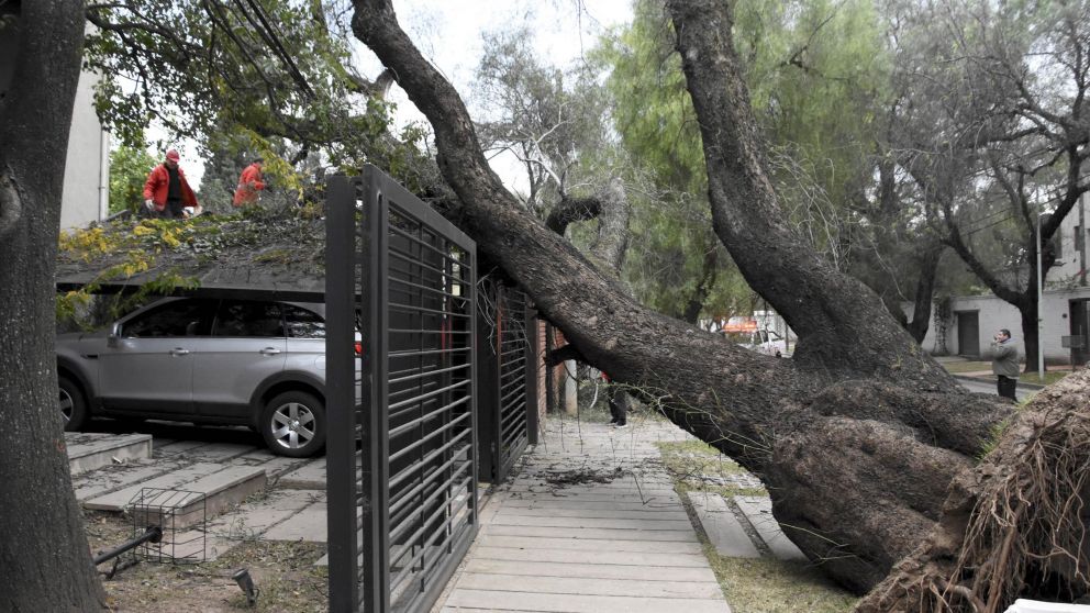 Catorce provincias estuvieron bajo alerta metereológica