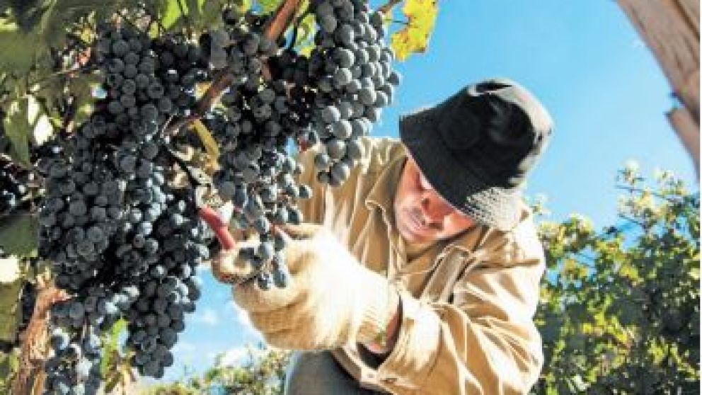 La producción argentina es competitiva a nivel internacional