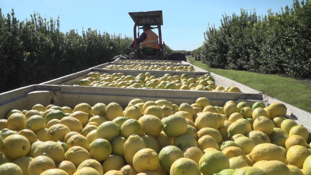 Exportaciones a EE.UU.