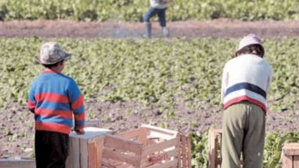 Aunque cayó, la cifra de niños que trabajan sigue siendo alta