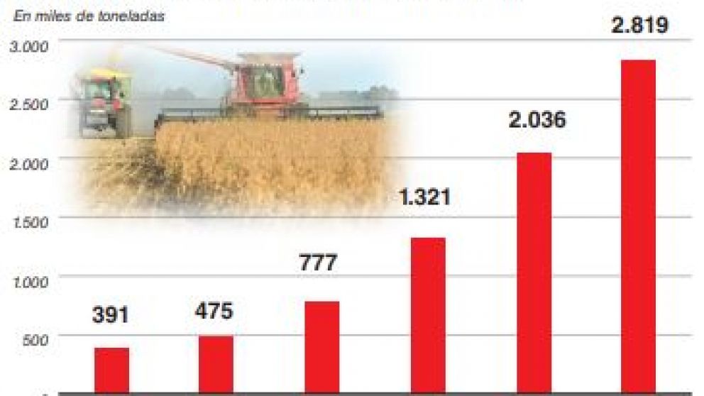 Por la suba de precios, productores aceleran la venta de maíz de la cosecha 2020