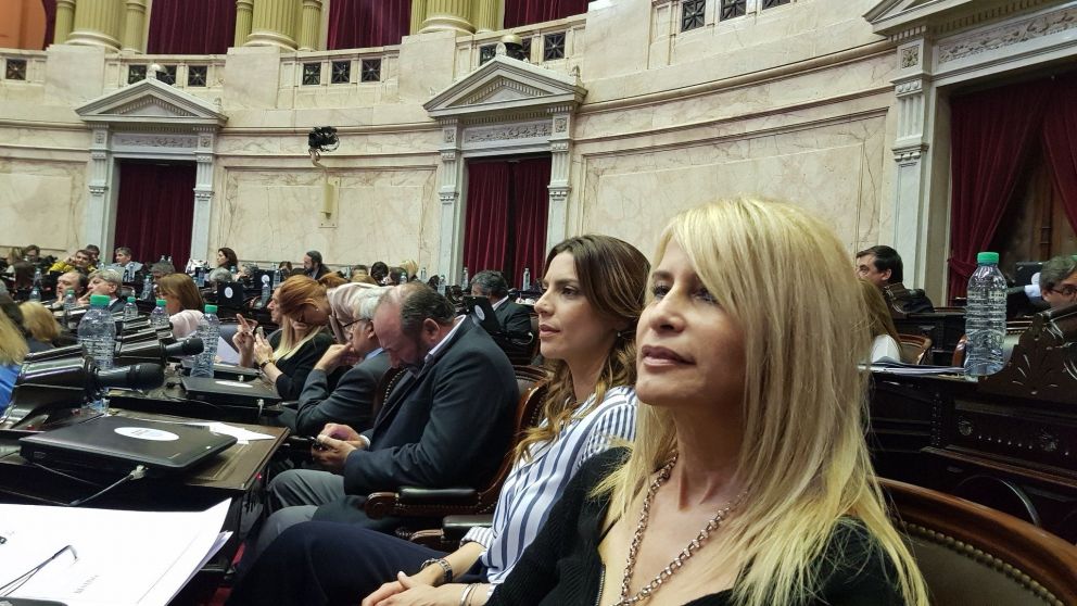 La ex diputada Hers Cabral celebró el fallo de la Justicia federal