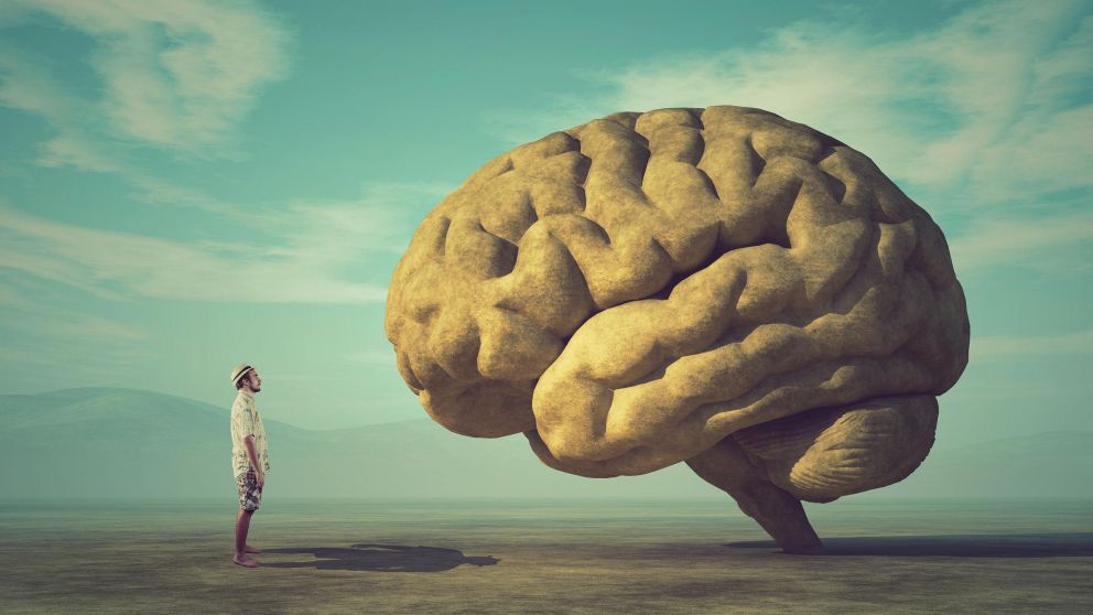 Cerebro, moral y ética