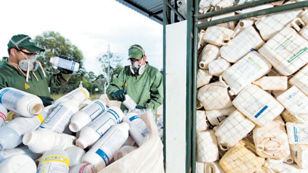 Varias organizaciones ya se dedican a la recuperación y reciclaje de envases