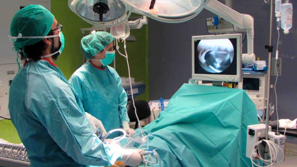 Plantean directrices de calidad para el cuidado del paciente durante estas prácticas