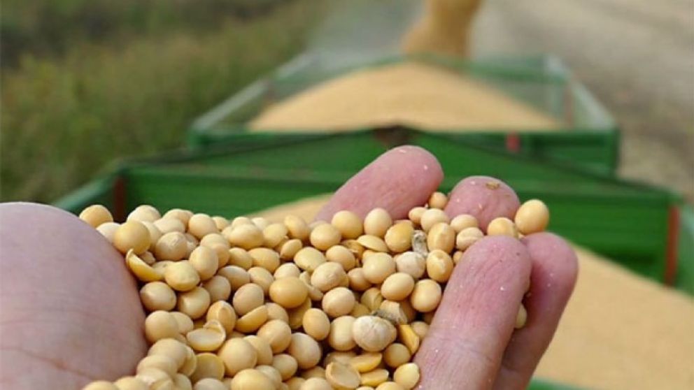 Los inventarios pasaron de 12 millones a 27 millones de toneladas