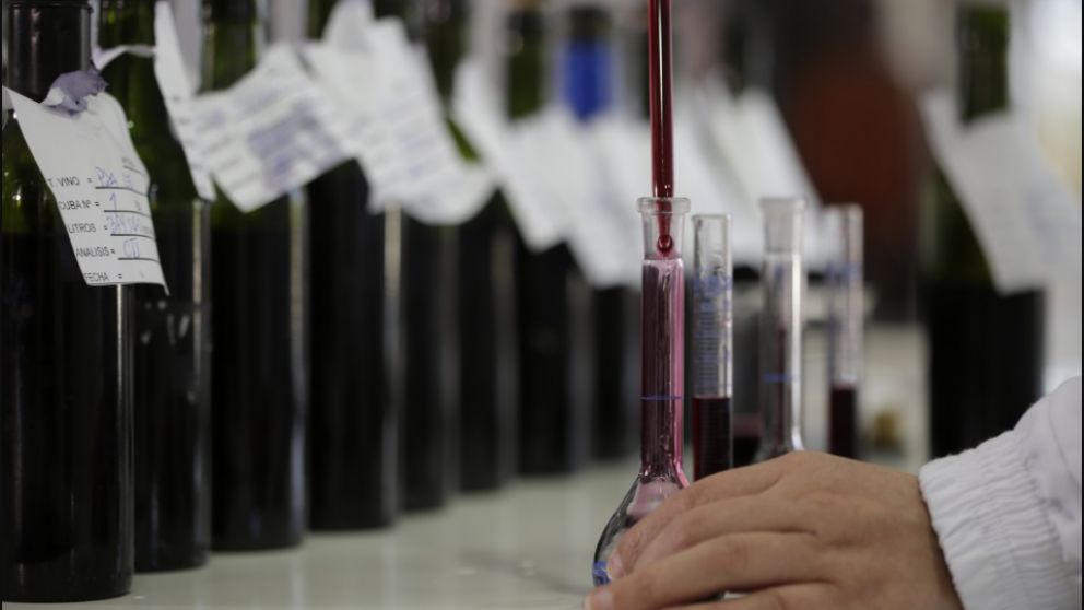 Laboratorio vitivinícola en San Juan