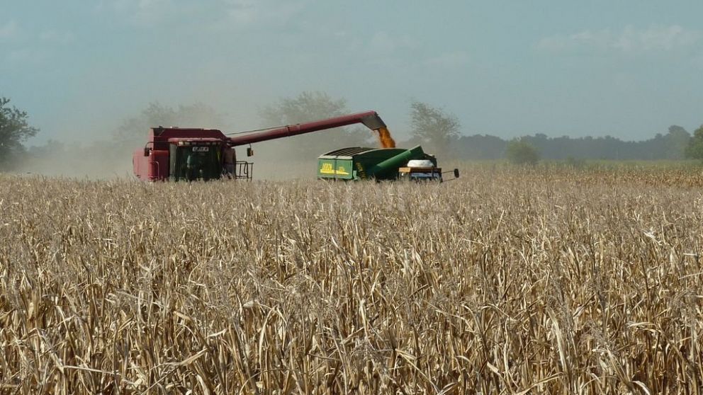 El USDA mejor� las estimaciones de la cosecha de granos