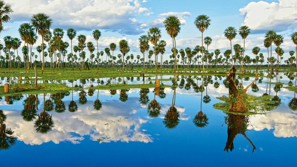 El Bañado La Estrella, de Formosa, la menos conocida en la lista