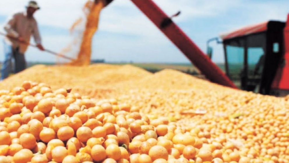 Complejo sojero: fuente de divisas