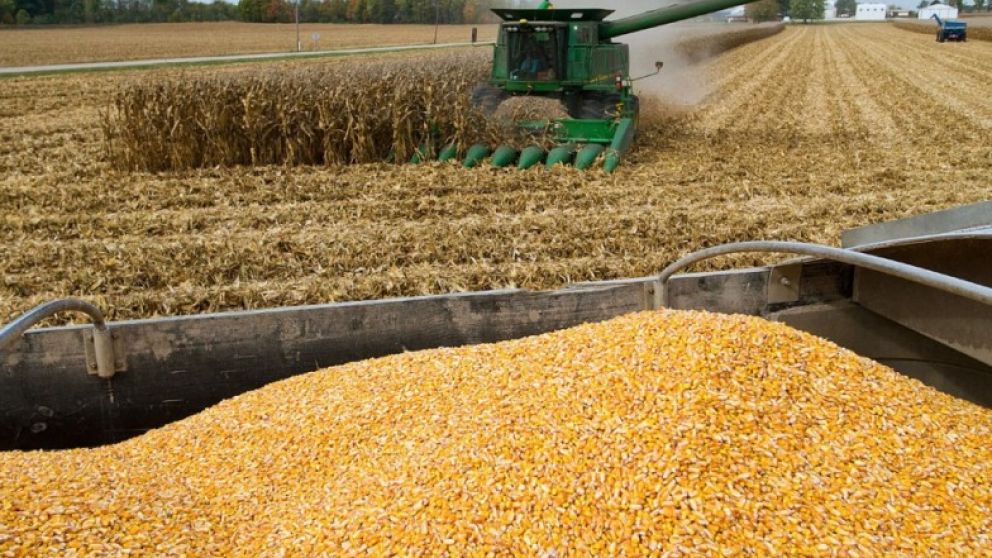 La cosecha 2018/19 finalizará con récord productivo de 145 millones de toneladas