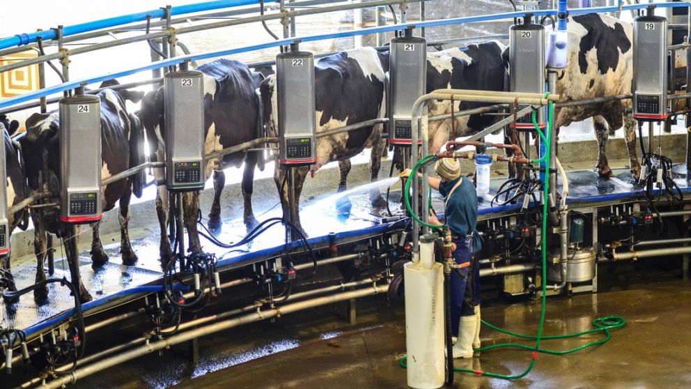 En 2018 la producción de leche alcanzó los 10.527 millones de litros