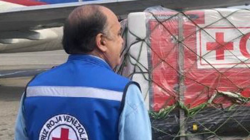 Descarga de los insumos