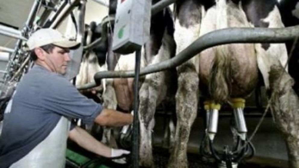 El año pasado se achicó la actividad