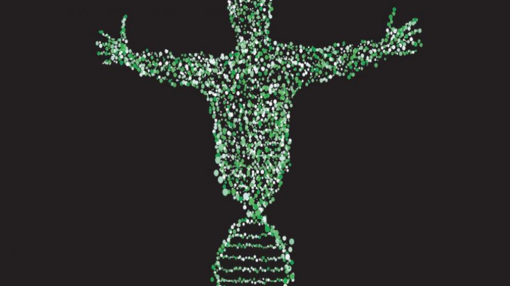 Cerebro y subjetividad heredada