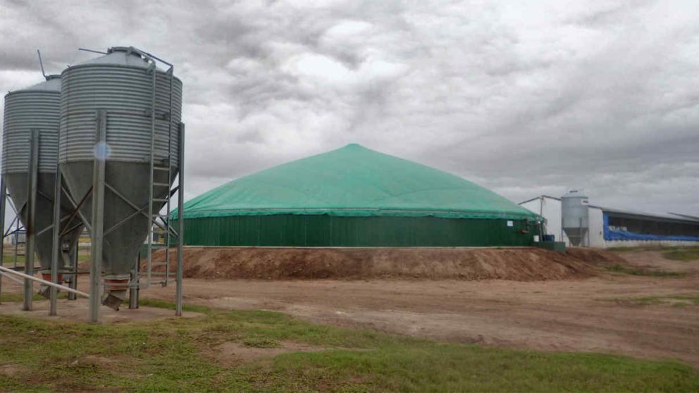 Economía circular de la mano de una planta de biogás