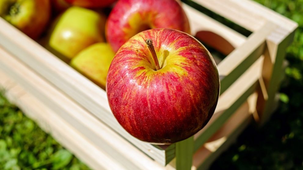 Productores de peras y manzanas del Alto Valle dieron un ultimátum a Sica