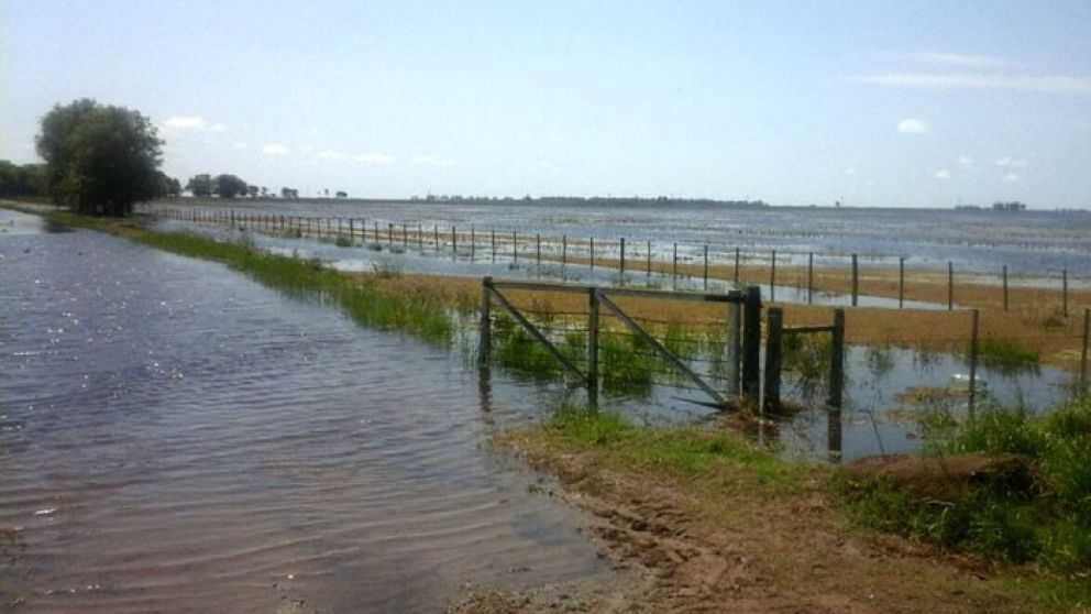 Ofrecen créditos a productores afectados por las inundaciones