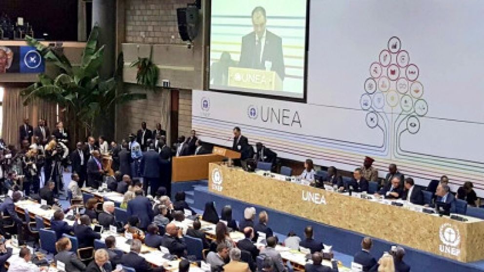 Argentina presenta una declaración basada en la sustentabilidad