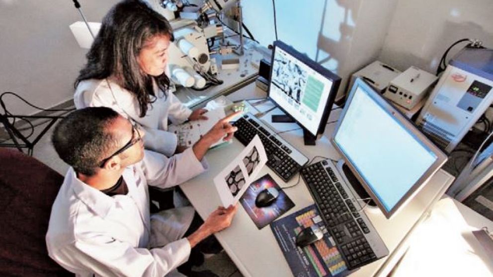 El sector tiene pleno empleo pero hay un desbalance de género