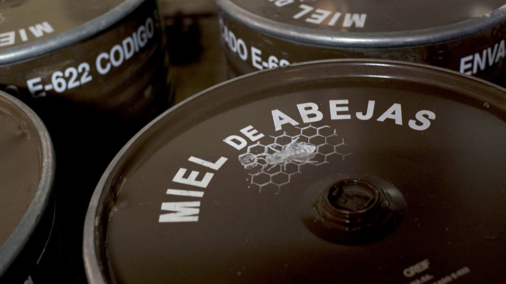 Peligran los envíos de miel argentina a Brasil a causa de una plaga endémica
