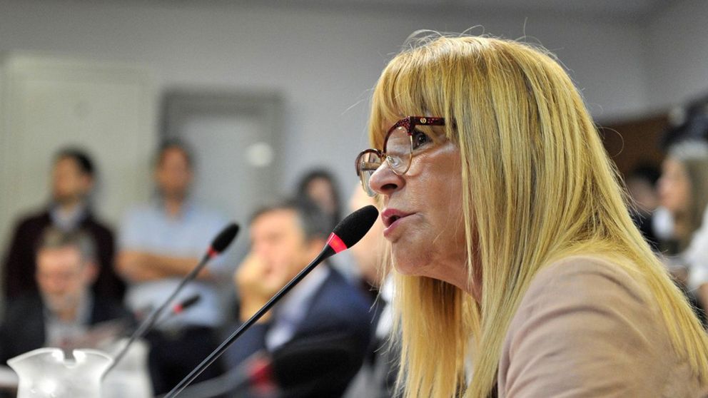 La diputada nacional chaqueña, Aida Ayala