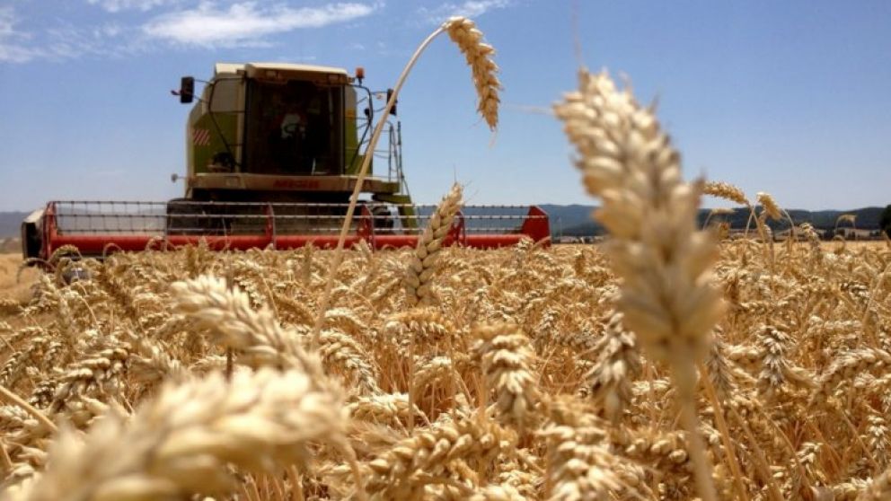 Según Agroindustria, se exportarán 13 millones de toneladas