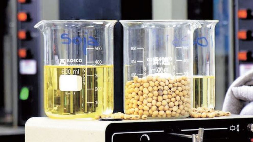 La transformación de soja en aceite genera mas divisas al país