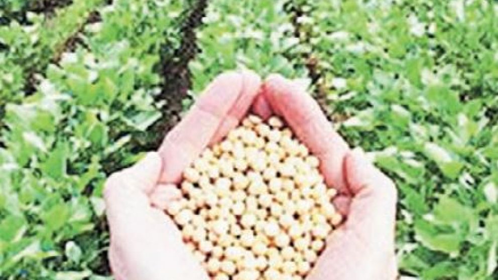 A la espera del agua