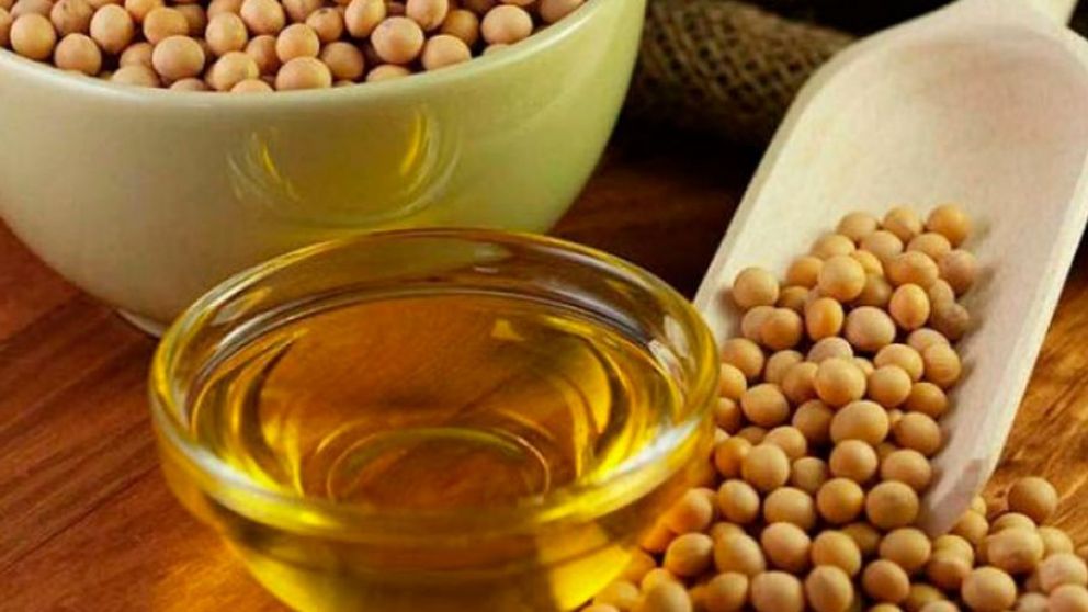 Comercio bilateral entre Argentina e India cayó 32% en 2018