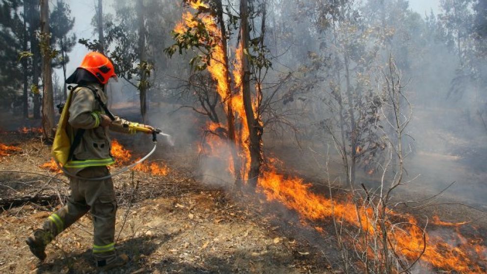 Al menos 53.000 hect�reas arrasadas por incendios en el centro y sur de Chile