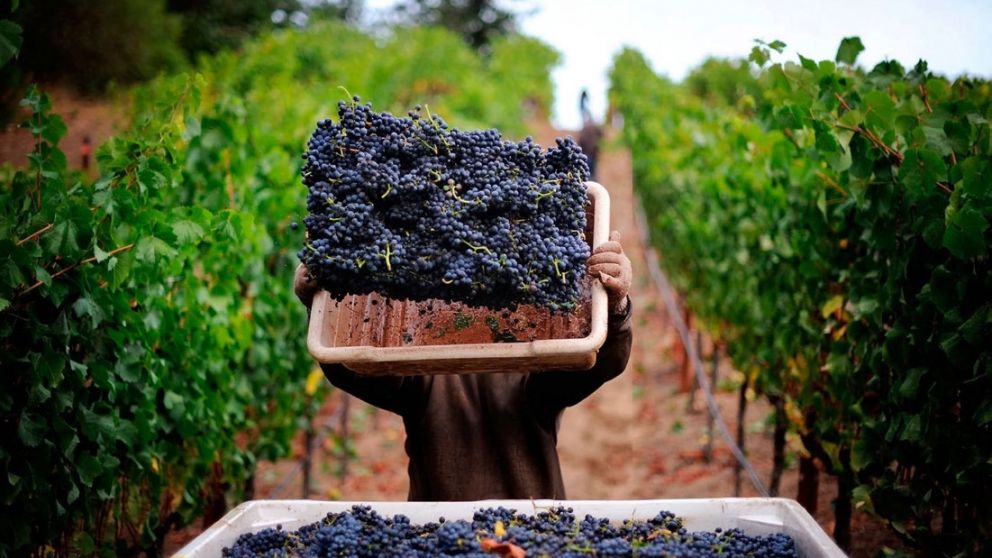 Oficializan la reducción de cargas patronales, cuestionada por los productores