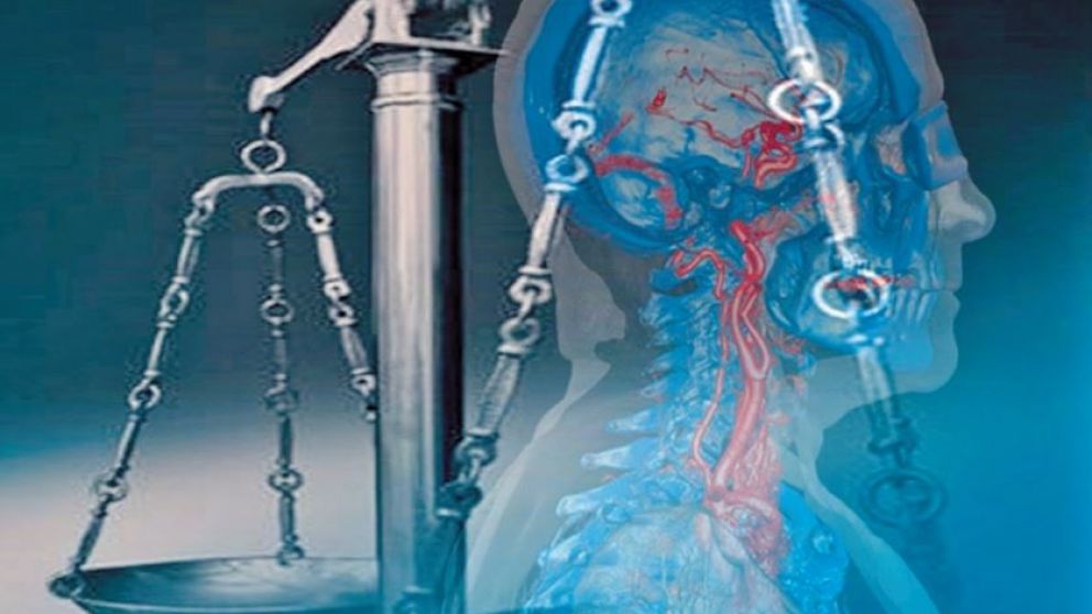 Cerebro y justicia
