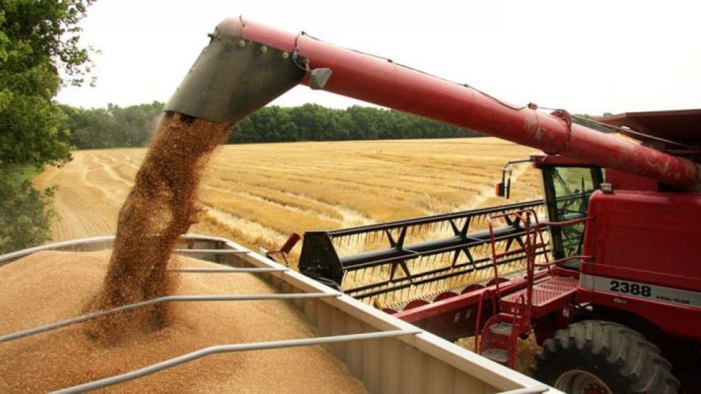 Las exportaciones de trigo alcanzaron el segundo valor m�s alto en los �ltimos 30 a�os